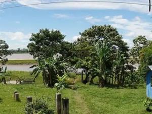 Parque Nacional Amacayacu